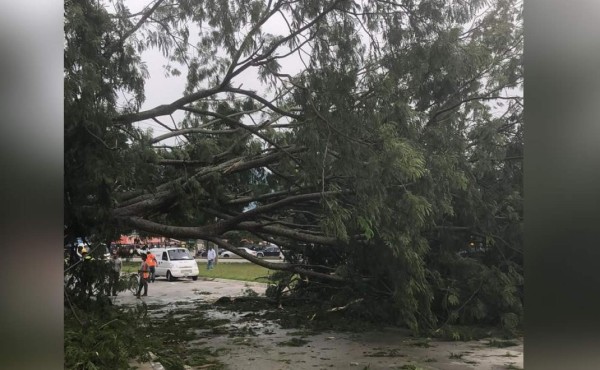 Habrá energía hasta en la tarde en zonas afectadas por lluvias en San Pedro Sula