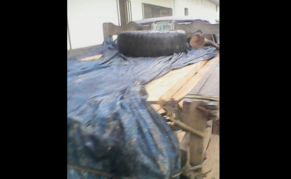 Incautan madera ilegal en Olancho
