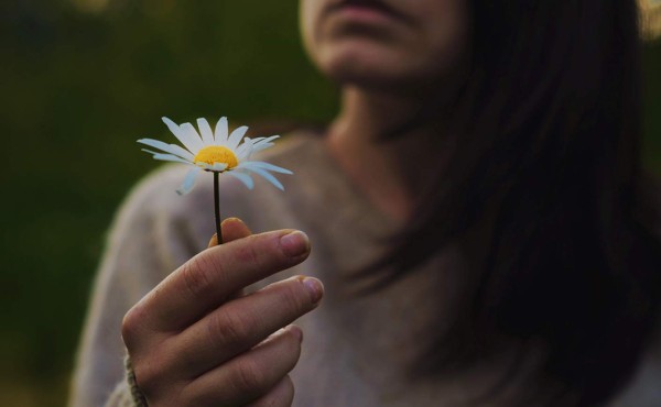 Energía = resiliencia = coherencia