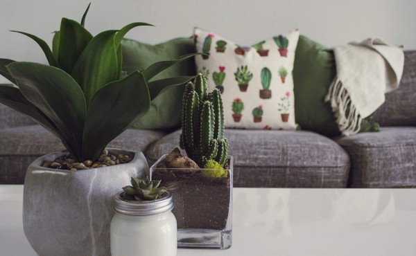 Ideas para eliminar los malos olores en casa