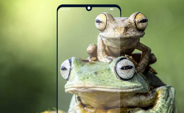 El 'FrogPhone', el teléfono que permite a científicos llamar a las ranas