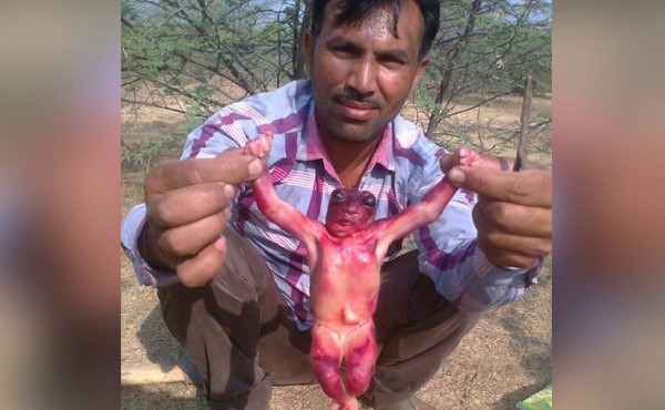 Afirman haber encontrado un 'bebé alienígena' en la India