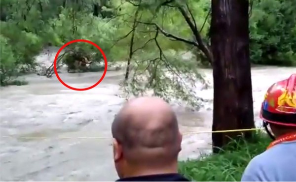 Tres hondureños son rescatados de morir en embravecido río de México