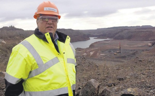 La caída de los commodities hunde a los activistas