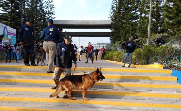 Perros entrenados rastrearán droga dentro de Unah