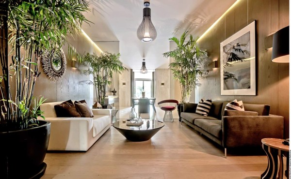 'Siémbrale' vida a tu casa o departamento