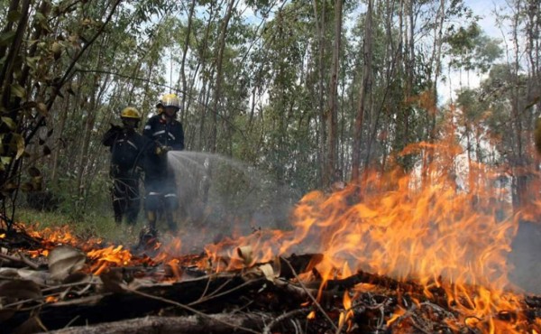 Honduras reporta 191 incendios que han arrasado 7,922 hectáreas de bosques