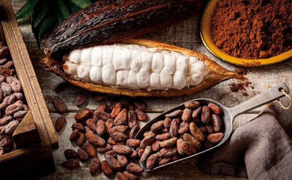 Los grandes poderes que hace el cacao en nuestra salud