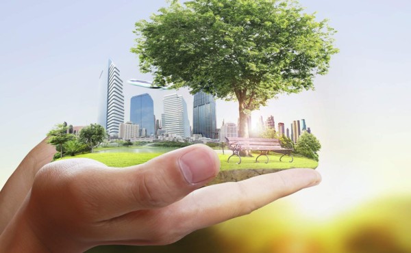 Con 5 acciones ayudas al planeta