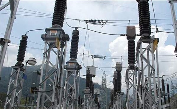 Gato deja sin energía a ocho municipios en el suroeste de Colombia