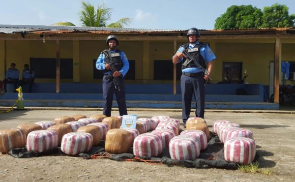 Hallan 300 libras de marihuana ocultas entre bananos en Colón