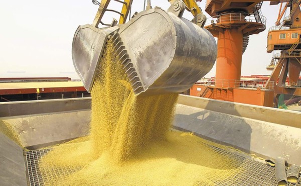 La harina de soya, nueva obsesión de China