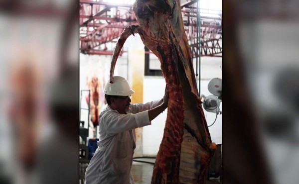 Promuca reduce en casi 50% el destace de reses