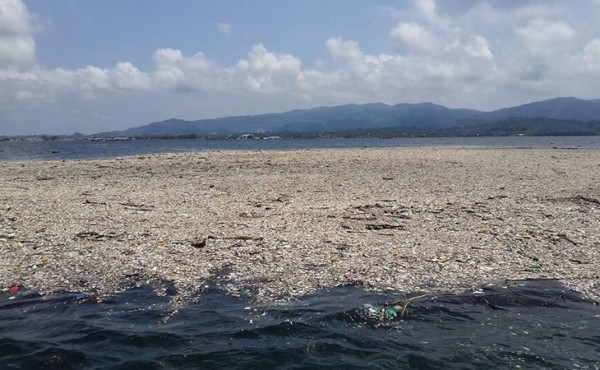 Los habitantes de Puerto Cortés han reportado la presencia de grandes cantidades de basura y desechos hospitalarios.