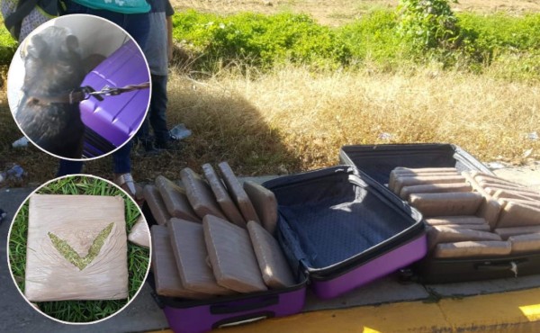 Decomisan un cargamento de supuesta droga en un bus en Omoa