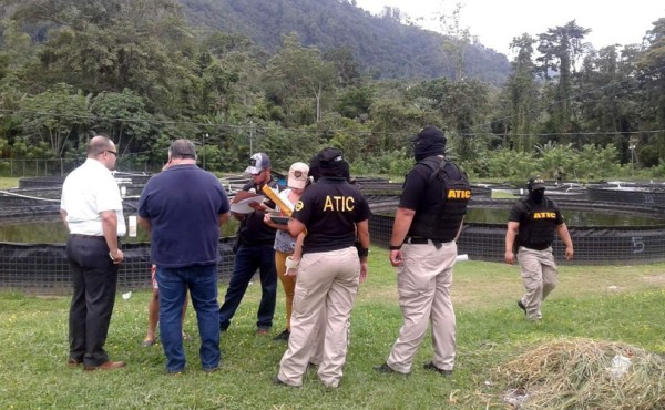 Caso Pandora: Aseguran criaderos de tilapia a Jacobo Regalado