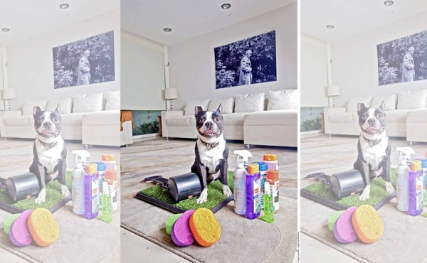 Apapáchalos en un ambiente limpio