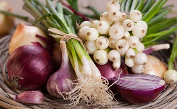 La cebolla: sus beneficios y propiedades nutricionales