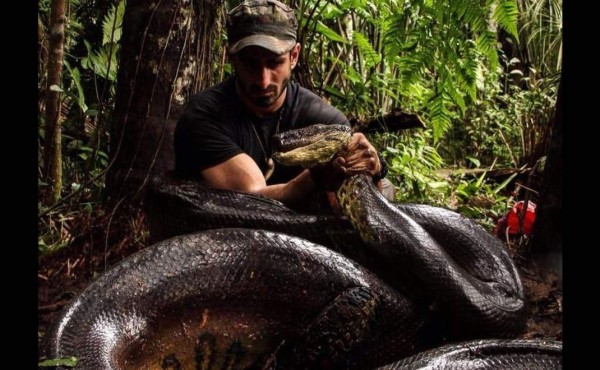 Hombre será comido vivo por anaconda en Discovery