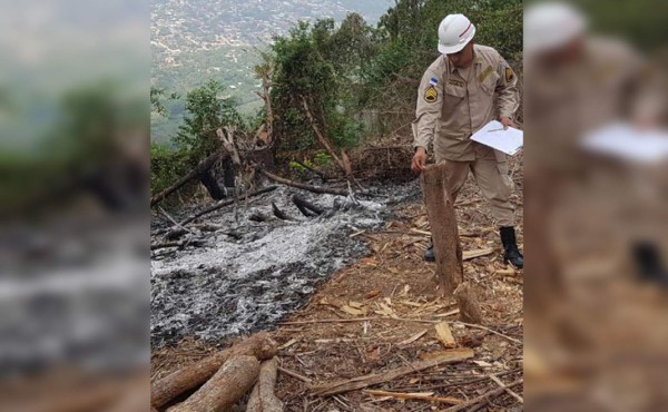 Luchan para salvar el 35% que aún queda de Mico Quemado