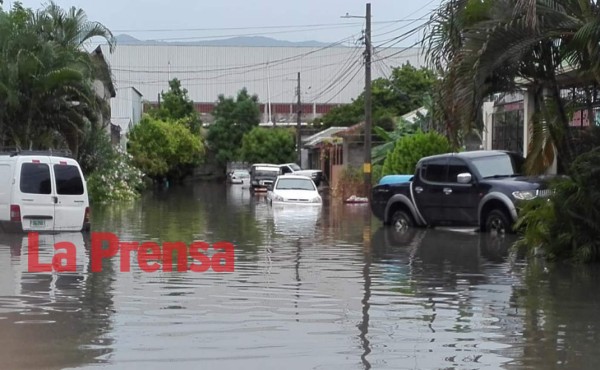 Foto: La Prensa