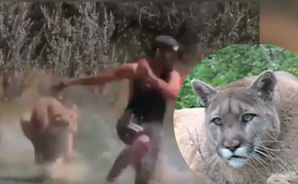 Video viral: Enorme puma persigue a un hombre y el final asombra