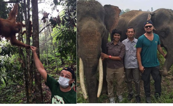 DiCaprio presenta documental ambientalista