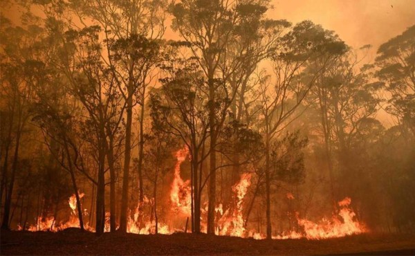 Australia desarrolla satélite para predecir zonas de peligro de incendios forestales