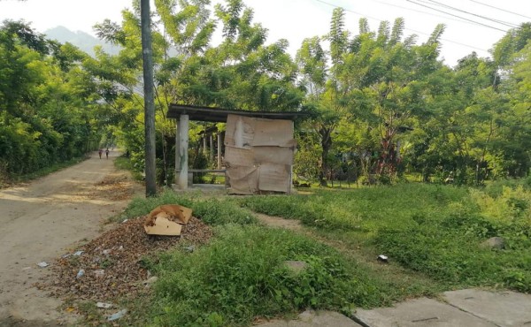 Hallan cabeza humana en un punto de buses de El Progreso