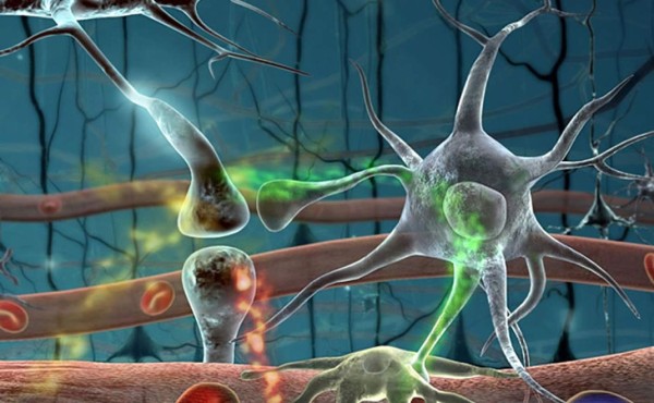 Cerebros conectados y sexo con robots: el mundo en 2050