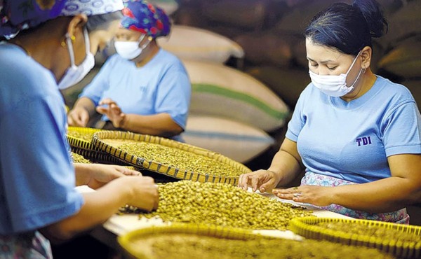 El Niño ya se hace sentir en los precios de las materias primas