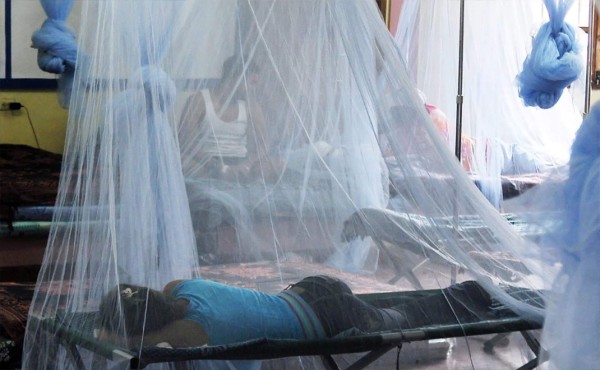 Salud confirma 101 hondureños muertos por dengue grave