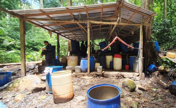 Carteles de Colombia y México están produciendo coca en Colón