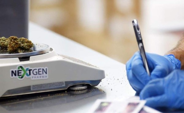 Médicos de la Florida ya recetan la marihuana  