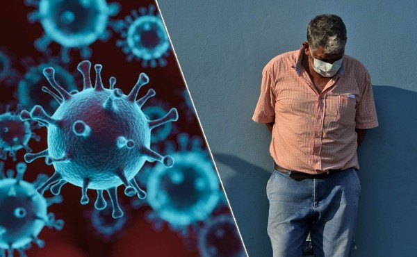 Rayos solares podrían matar rápidamente el coronavirus, según estudio