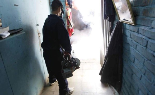 Honduras en alerta por posible ingreso del virus Mayaro