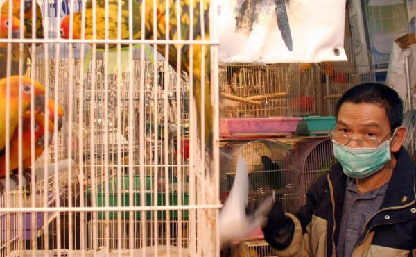 China cerrará gradualmente todos los mercados donde se venden aves vivas