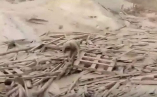 Mujer emerge del lodo en Perú y se convierte en símbolo del drama por las lluvias