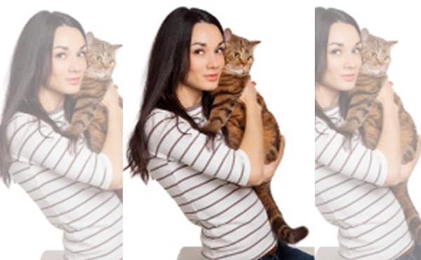 ¡Maullidos en casa!, recomendaciones para cuidar a tu minino&nbsp;&nbsp;