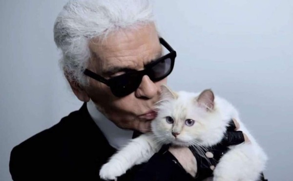 Gata Choupette desata pelea por su identidad en Instagram