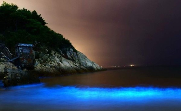 El espectacular resplandor del mar que sorprende en Australia