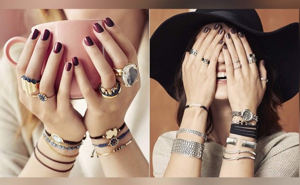 Un oso se toma por sorpresa Miami