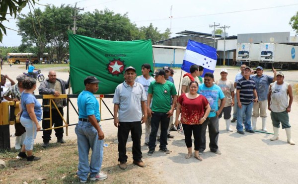 Más de dos mil trabajadores se toman fincas de la Tela Railroad Company