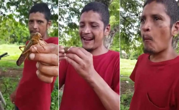 'El Negro' disfruta comiendo grillos en el occidente de Honduras.