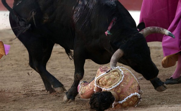 Muere torero español tras mortal cornada en el pulmón