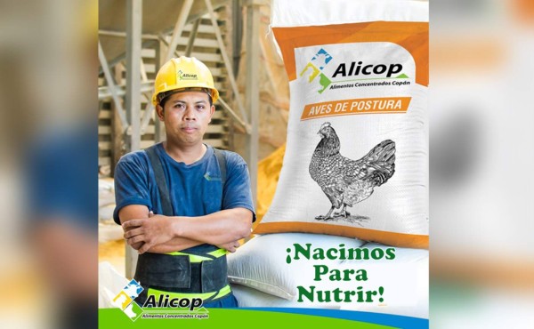 Alimentos Concentrados Copán (Alicop) comprometidos con la bioseguridad y nutrición  