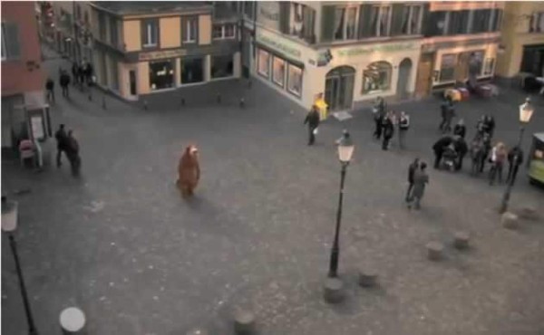 Video: Por ser ignorado toda su vida, se disfraza de oso