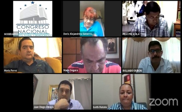 Director de Invest-H rinde informe ante el Congreso Nacional