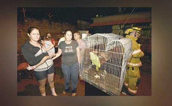 Una lora avisa de la presencia de fuego y salva a los vecinos en Costa Rica