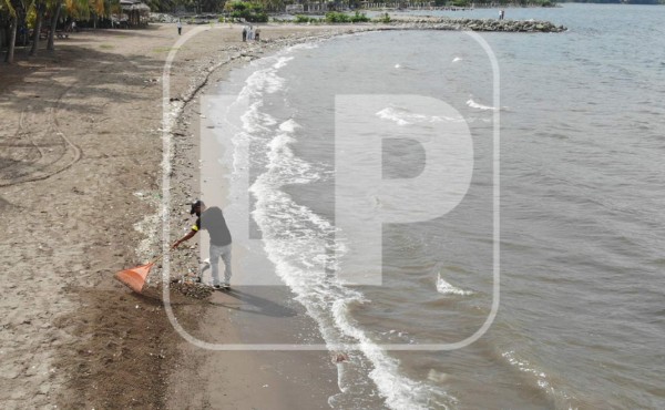 Extraen unas 700 toneladas de basura de playas de Omoa